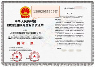 深圳教育咨詢服務(wù) 專業(yè)導(dǎo)航，助力學(xué)子與家庭的教育成長之路